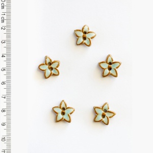 Nasturi Floricele Stelate - Incomparable Buttons