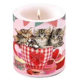 Lumânare mare Cats in Tea Cups