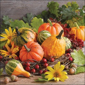 Șervețel decorativ mare Pumpkin Varieties - Img 2