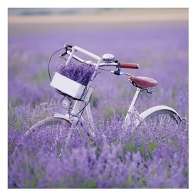 Șervețel decorativ mare de masă Bicycle in Lavender Field - Img 2