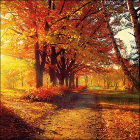 Șervețel decorativ mare Autumn Park - Img 2