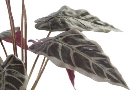 Plantă artificială decorativă culoare verde cu bordo - Img 2