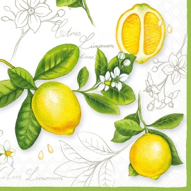 Șervețel decorativ mare de masă Citrus limonum - Img 2