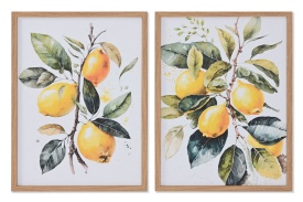 Tablou decorativ natural cu ramură de lămâi