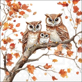 Șervețel decorativ mare Family of Owls - Img 2