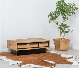 Set mobila living Ethiopia cu 5 piese lemn masiv, accente loft - Img 6