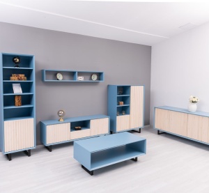 Etajera living Piannova cu 1 usa si 4 rafturi, lemn masiv + mdf - Img 6