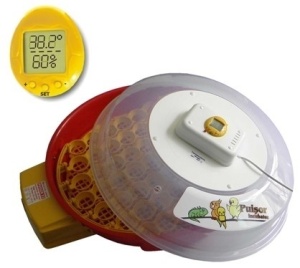 Incubator de oua Puisor X2 Extra - Img 2