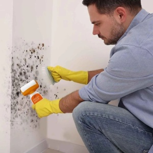 Trafalet Multifunctional pentru Repararea si Curatarea Peretilor Roller Paint - Img 3