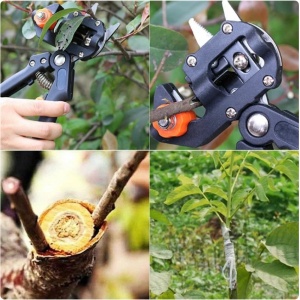 Cleste profesional de ALTOIT LA TRUSA MX517 - Img 2
