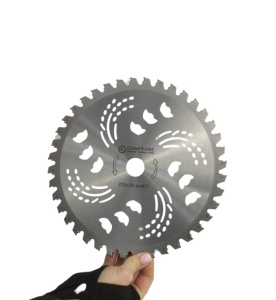 Disc motocoasa NR 10, 255x25.4x40T arbusti, dinti videa, MX1018
