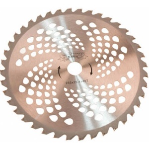 Disc circular motocoasa 10(255X40T) cu vidia