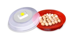 Incubator oua IO102T cu termostat