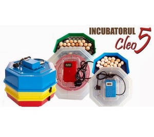 Incubator dublu CLEO 5DT termometru si dispozitiv de intoarcere