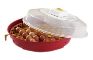 Incubator IO103 pentru oua cu termostat