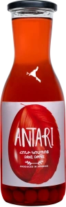 Compot de coarne ANTARI - 1.1 l