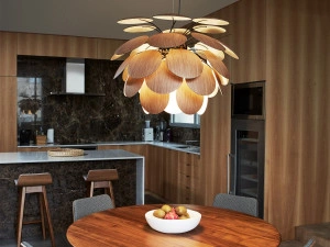 Discoco Suspension Light - American Oak [DEMO] - Img 2