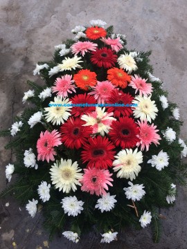 Coroane Funerare Garoafe