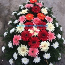 Coroane Funerare Garoafe
