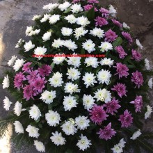 Coroane Funerare Crizantema Floare