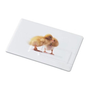memorie usb tip card personalizata
