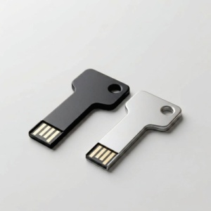 Stick Usb Keygo