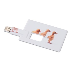 carduri usb personalizate