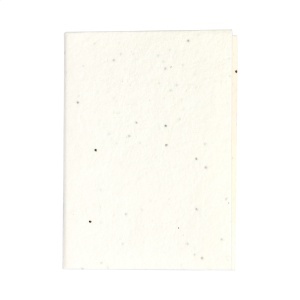 Post-it Semilla - Img 3