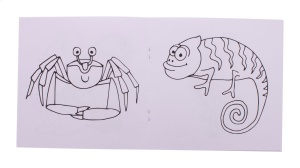 ColoBook - Img 5