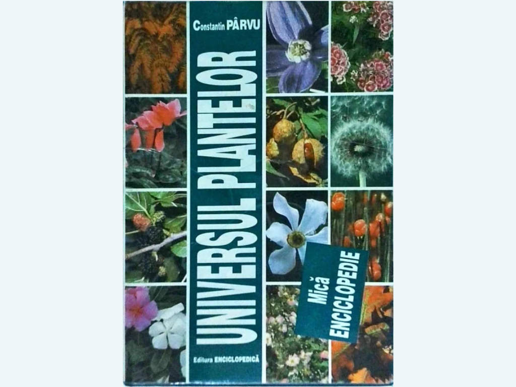 Biologie, Botanica, Zoologie, Genetica, Mediu
