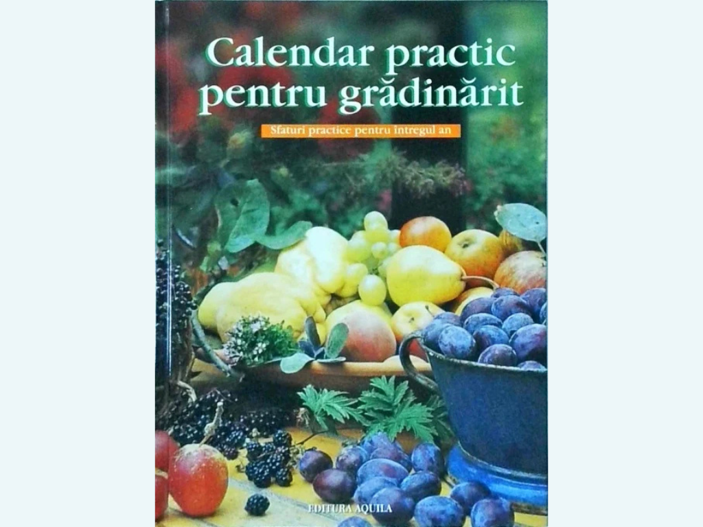 Casa si gradina
