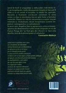 Angelica Stan - O femeie urmareste ploaia de la etajul opt - Img 2