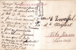 Baile Herculane / Herkulesfurdo. Ferencz Jozsef-udvar (scrisa) - Img 2