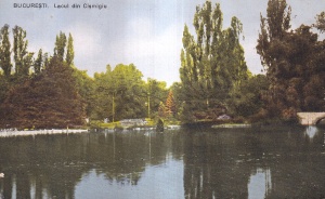 Bucuresti. Lacul din Cismigiu (scrisa)