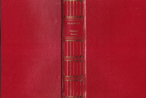 Flaubert - Madame Bovary