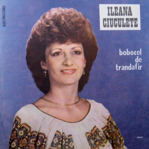 Ileana Ciuculete – Bobocel de trandafir