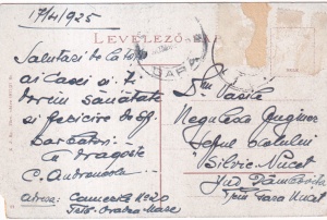 Oradea-Mare Primaria (circulata 1925) - Img 2