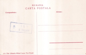 Orasul Pitesti vazut din Foisor (necirculata) - Img 2