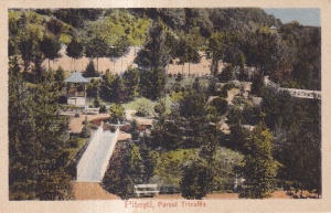 Pitesti. Parcul Trivalea. (circa 1910, necirculata)
