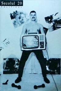 Revista Secolul 20, nr. 10-11-12 / 1996: Politicul