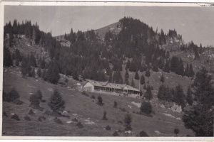 Sinaia. Casa de Adapost A.D.M. pe Valea Ialomitei (circulata 1934)