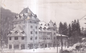Sinaia. Vedere Parc Hotel (necirculata)