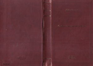 Theodor Constantin - Crizanteme pentru Erna