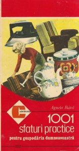 Agneta Bitca - 1001 sfaturi practice. Pentru gospodaria dumneavoastra