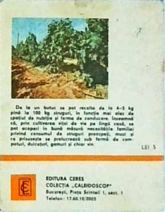 Avram D. Tudosie - Cultura vitei de vie pe langa casa - Img 2