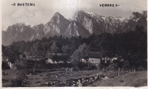 Busteni. Vedere (necirculata)