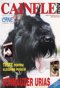 Cainele meu. Teste pentru alegerea puiului. Schnauzer Urias, anul 2, numarul 5