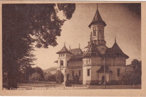 Campulung. Catedrala ,,Adormirea Maicii Domnului" (circulata in 1949)