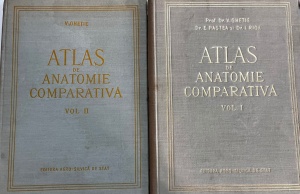 Dr. V. Ghetie, Dr. E. Pastea, Dr. I. Riga - Atlas de anatomie comparativa, 2 volume