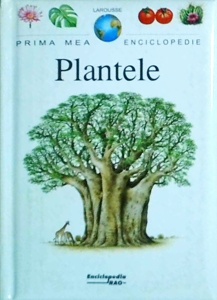 Fabienne Fustec - Plantele - Img 1